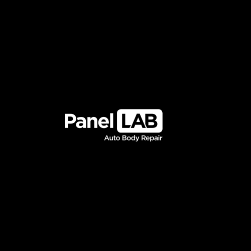 Panel Lab Logo